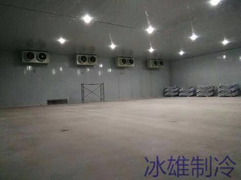 冷庫設(shè)備如何重要，改如何正確的維修呢？