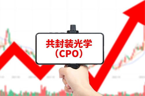 中国股市 利好来袭,这5只真正的 cpo 概念股,谁是下一个龙头