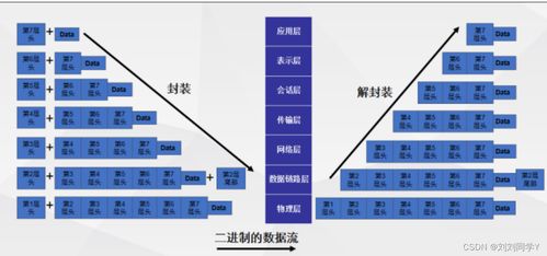 hcia笔记